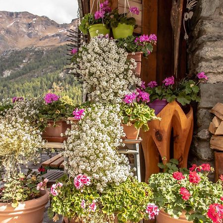 Hotel & Restaurant Perret - Mountain People Valgrisenche Luaran gambar
