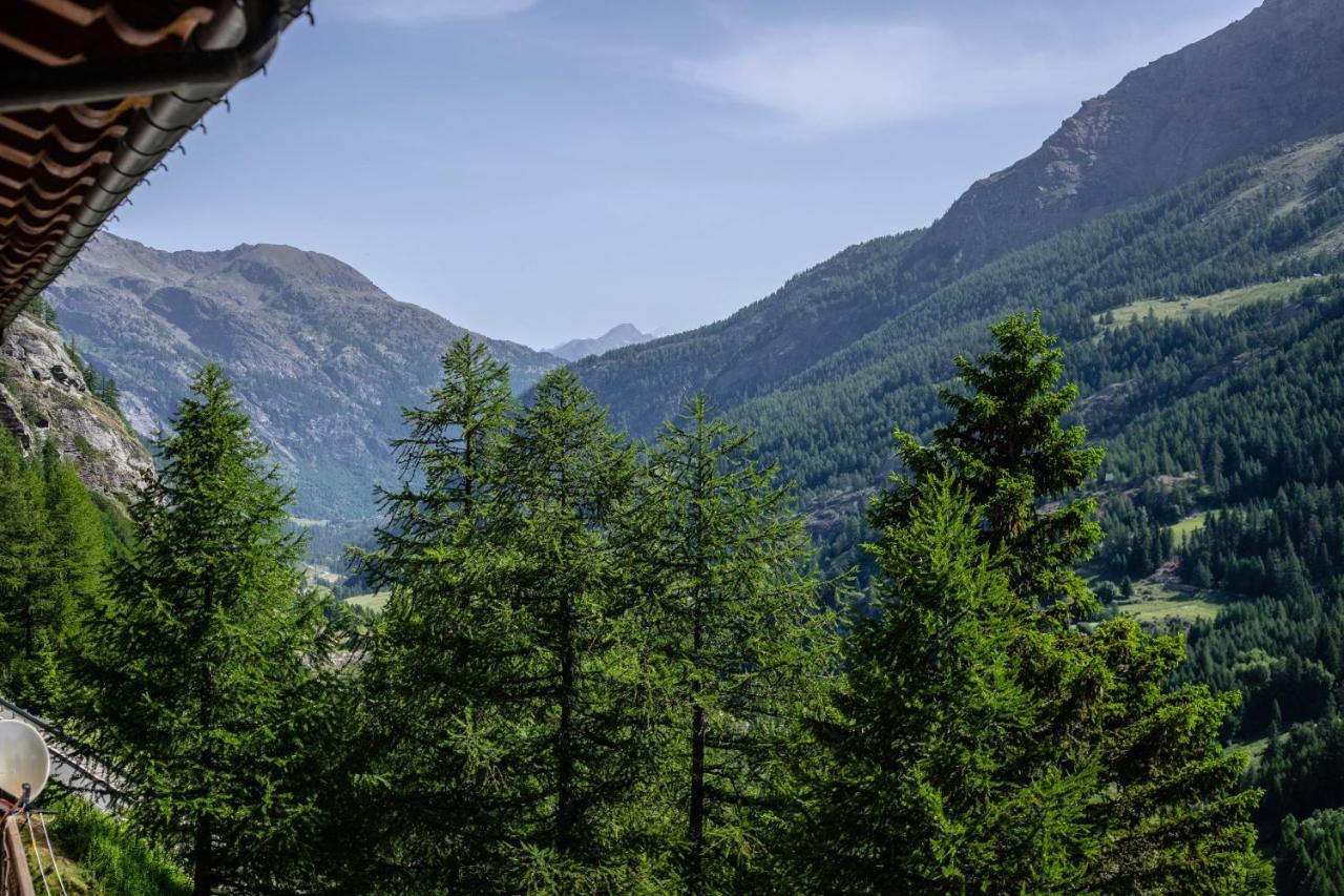 Hotel & Restaurant Perret - Mountain People Valgrisenche Luaran gambar